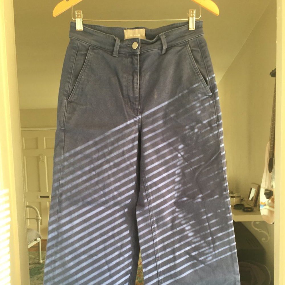 Everlane Wide Leg Crop Pant